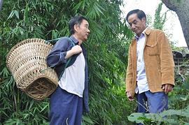 鳳凰情 圖9