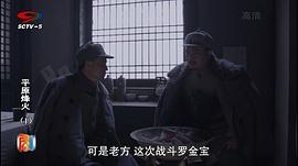 电视剧平原峰火策驰影院 图5