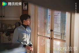 刘亦菲电视剧2023玫瑰的故事 图7