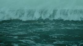 海洋灾难片大全电影在线 图1