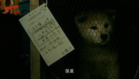 日本忠犬八公中文版 图7