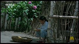 暖春 圖9