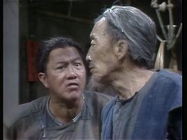 1980版大地恩情粤语家在珠江 图3