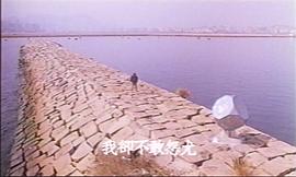 1999年警网雄风电视剧下载 图5