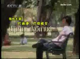 甜心巧克力 圖1