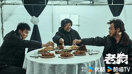老狗 图7