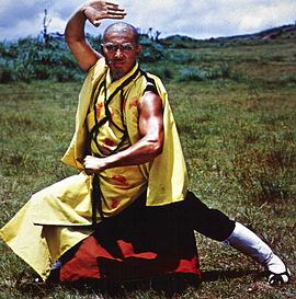 十八羅漢拳 圖9