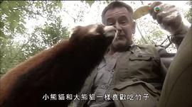 馬文與中國大熊貓 圖3