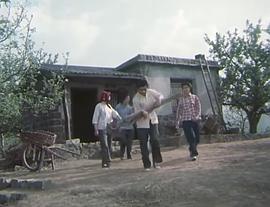 花開(kāi)花落 圖9