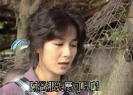 阿成嫂尋夫 圖2