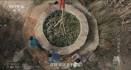 復活的三葉蟲 電影 圖7