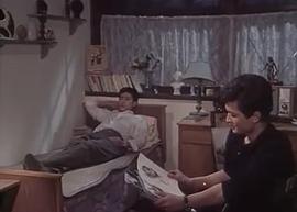 白樺林中的哨所 圖2