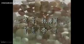 紅紅的雨花石 圖1
