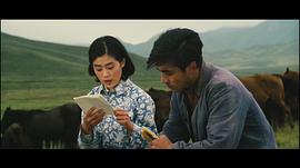 牧馬人 圖10
