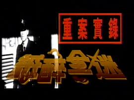 90年代香港警匪电影大全 图5