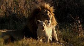150只狮子老虎的电影叫什么 图8