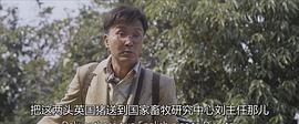 大轟炸原版國語版免費觀看全集 圖6