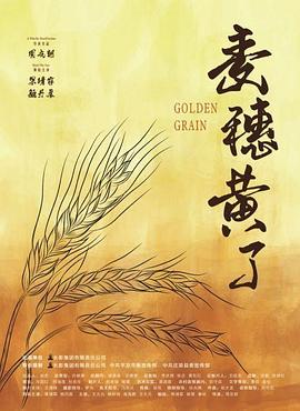 麥穗黃了 圖1