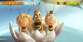 我要看小蜜蜂玛雅 图4