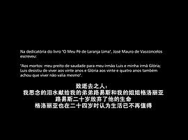 我親愛的甜橙樹點(diǎn)評 圖10