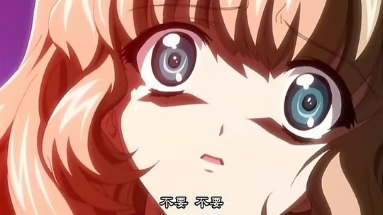 桃華月禪