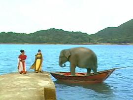 1985版雪山飛狐國語版30集 圖4