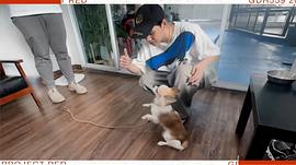 冥婚紅包 圖9