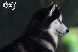臺劇2019年新劇大全 圖5