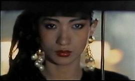 黑蝴蝶 圖3