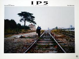IP5迷幻公路 图4