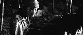 野火 圖1