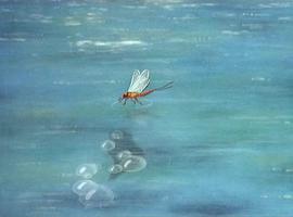 柳林風聲 圖6