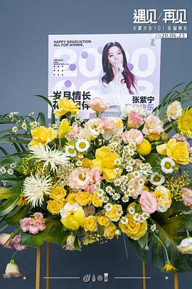 遇見/再見：火箭少女101告別典禮 圖3