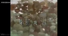 紅紅的雨花石 圖6