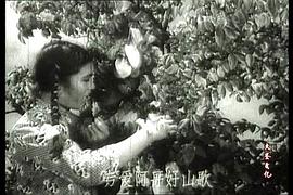 三個(gè)戰(zhàn)友 圖2