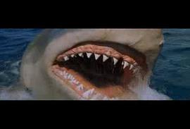 巨白鲨电影 图10