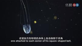 世上最藍的海 圖10