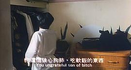 五湖四海 圖8