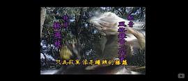 雙驕 圖5