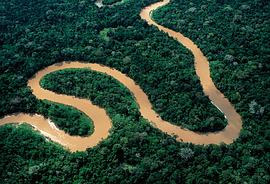 亚马逊河历险记2 电影 图2