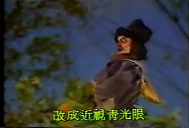 霹靂金光 圖10