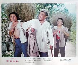 張燈結彩 圖3