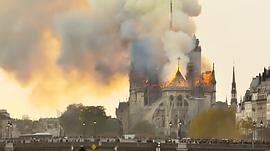 燃烧的巴黎圣母院豆瓣 图4