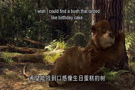 瑜伽熊 圖4