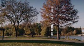 三生三世 聶華苓 圖4