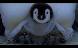 BBC帝企鹅纪录片国语版 图7