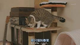 我被爸爸綁架了 圖6