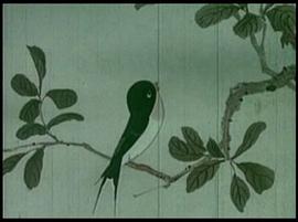 小燕子 圖3