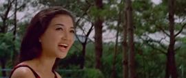 黑鷹 圖1