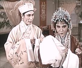 陳佩斯丁嘉麗主演的電影 圖9